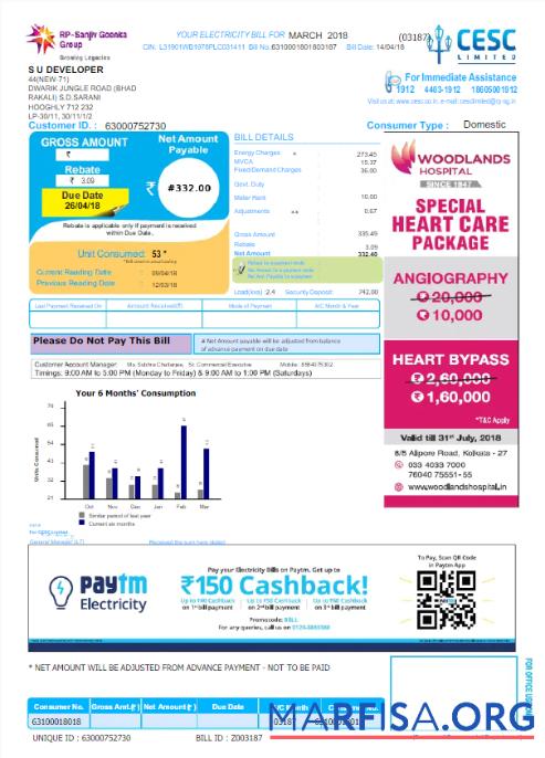 Realistic INDIA CESC LIMITED utility bill Word and PDF template